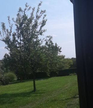 intelektualac poduzetnik1