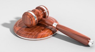 moj prilog ustavnim raspravama m