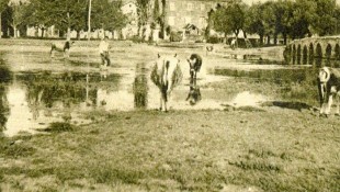 49762966 2017847141585149 6725125500781461504 n