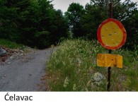 ćelavac
